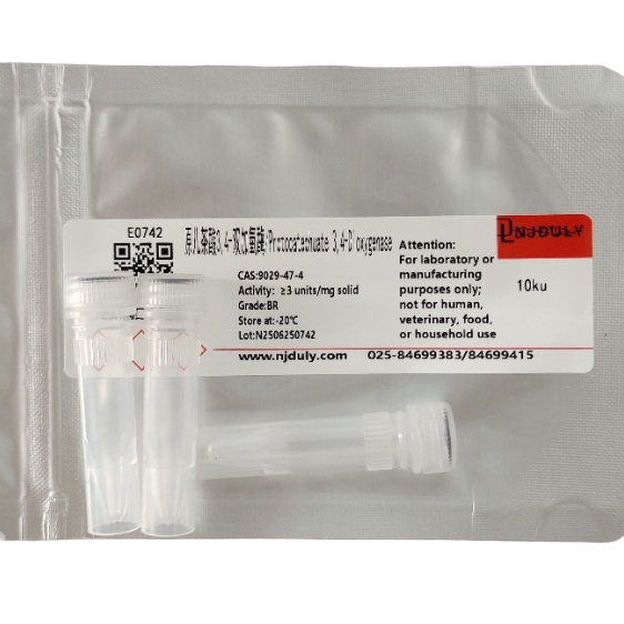 原儿茶酸3,4-双加氧酶