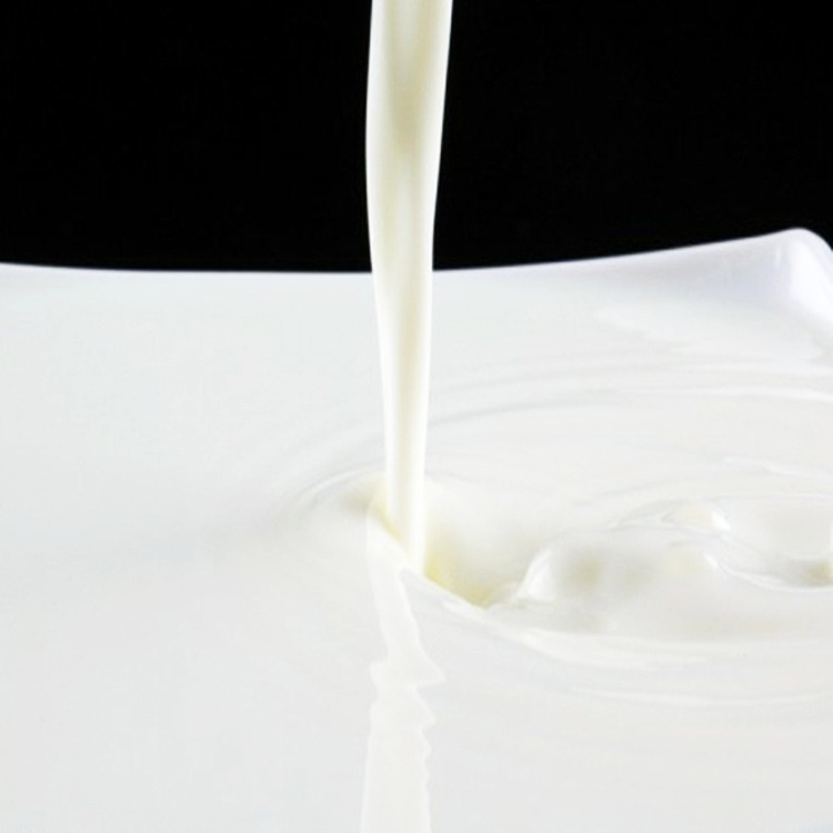 自干型水性有机硅树脂乳液 IOTA 6863