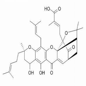 新藤黄酸(CAS:93772-31-7)