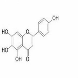 野黄芩素(CAS:529-53-3)