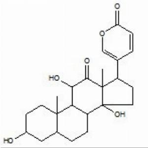 沙蟾毒精(CAS:464-74-4)