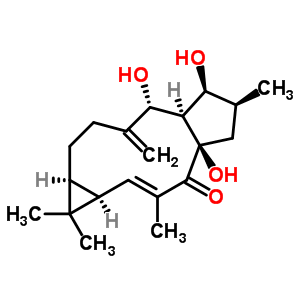 千金子二萜醇(CAS:34420-19-4)