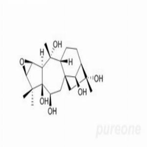 闹羊花毒素III(CAS:26342-66-5)