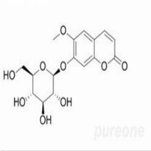 东莨菪苷(CAS:531-44-2)