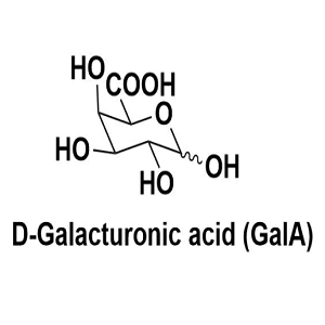 685-73-4，D-Galacturonic acid，D-半乳糖醛酸