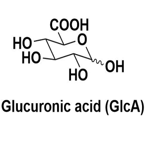 6556-12-3，D-葡萄糖醛酸，D-Glucuronic Acid