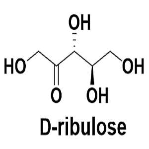 488-84-6，D-核酮糖，D-ribulose