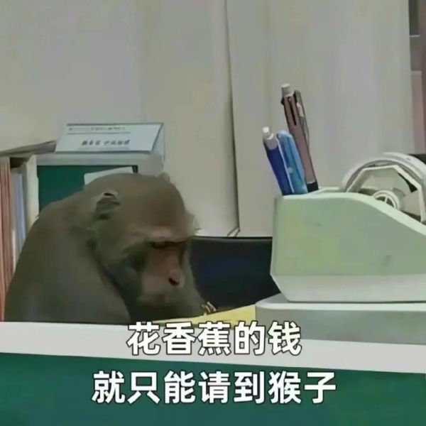 2-氯-4-氰基吡啶，99%，工业化