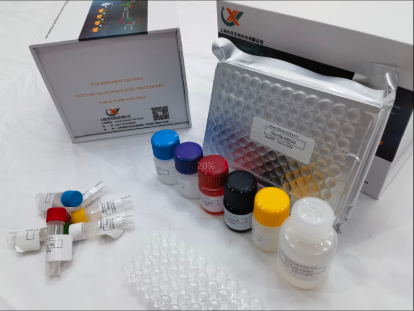 兔6酮前列腺素F1a（6-keto-PGF1a）elisa试剂盒