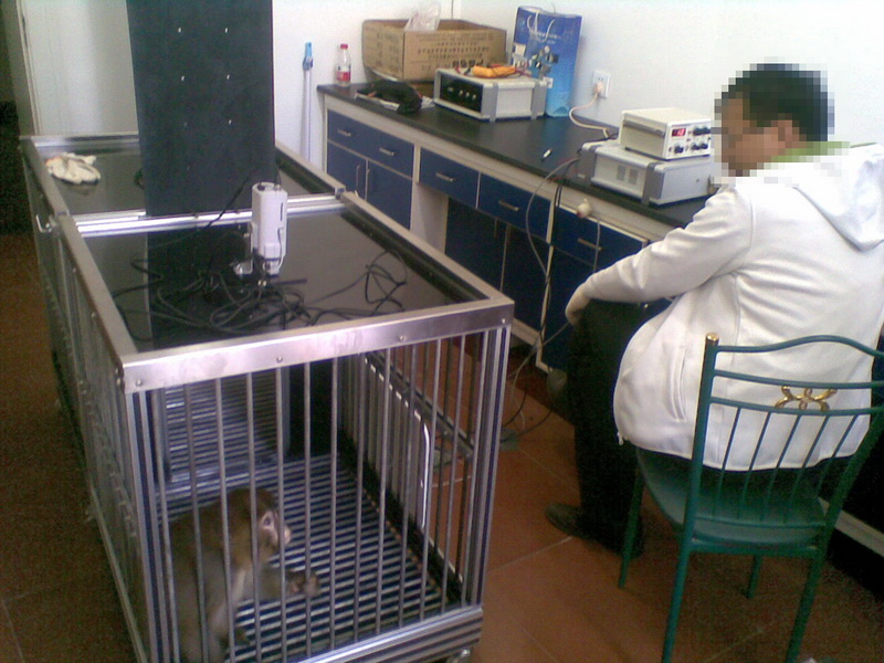 小鼠穿梭箱；大鼠穿梭箱；大小鼠穿梭箱