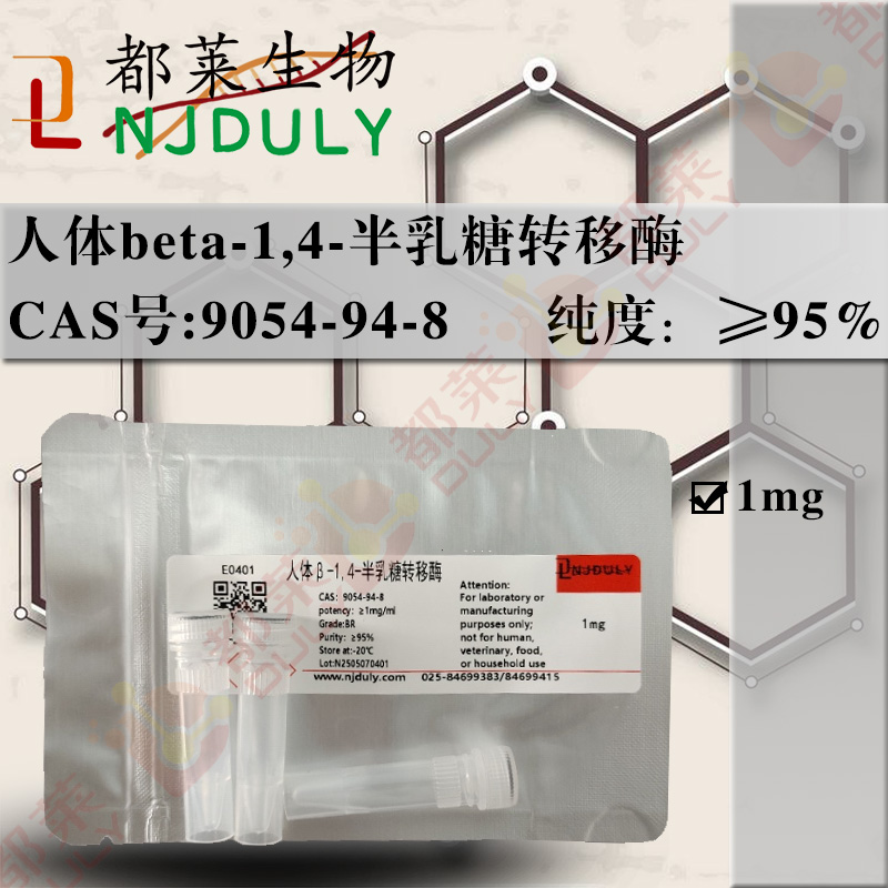 人体β-1,4-半乳糖转移酶