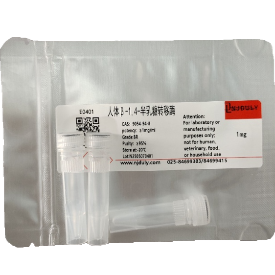 人体β-1,4-半乳糖转移酶