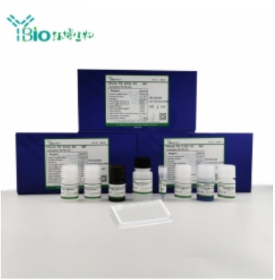 人胸苷激酶1(TK1)ELISA试剂盒 YB71661Hu