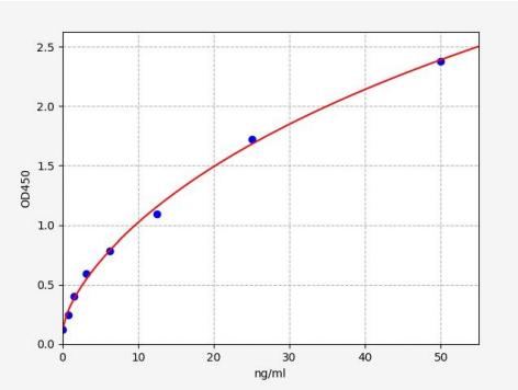 人WNT5b蛋白(WNT5b)ELISA试剂盒 YB71580Hu