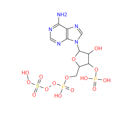 N-Boc-2-哌啶甲酰胺