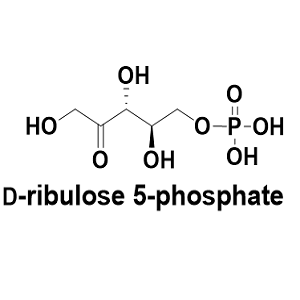 551-85-9，D-ribulose 5-phosphate，5-磷酸-D-核酮糖