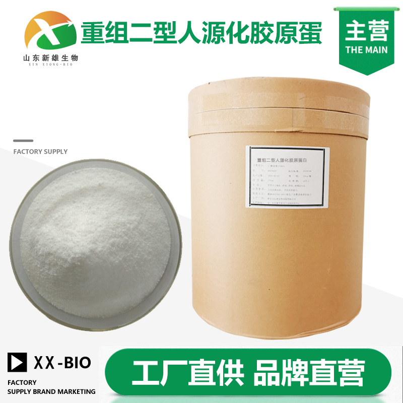 重组二型人源化胶原蛋白