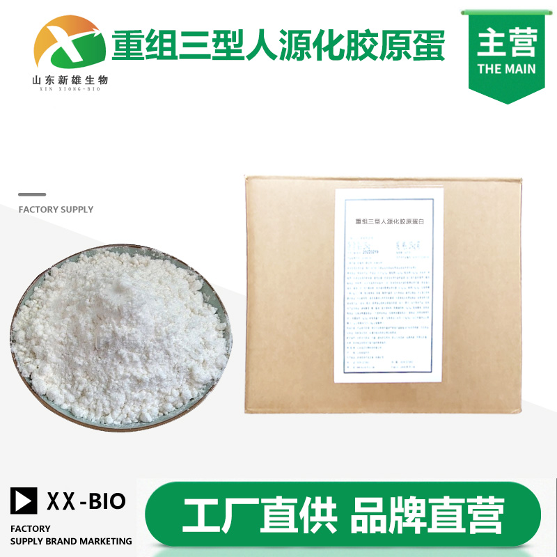 重组三型人源化胶原蛋白