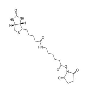 72040-63-2，NHS-LC-Biotin，活性酯生物素交联剂