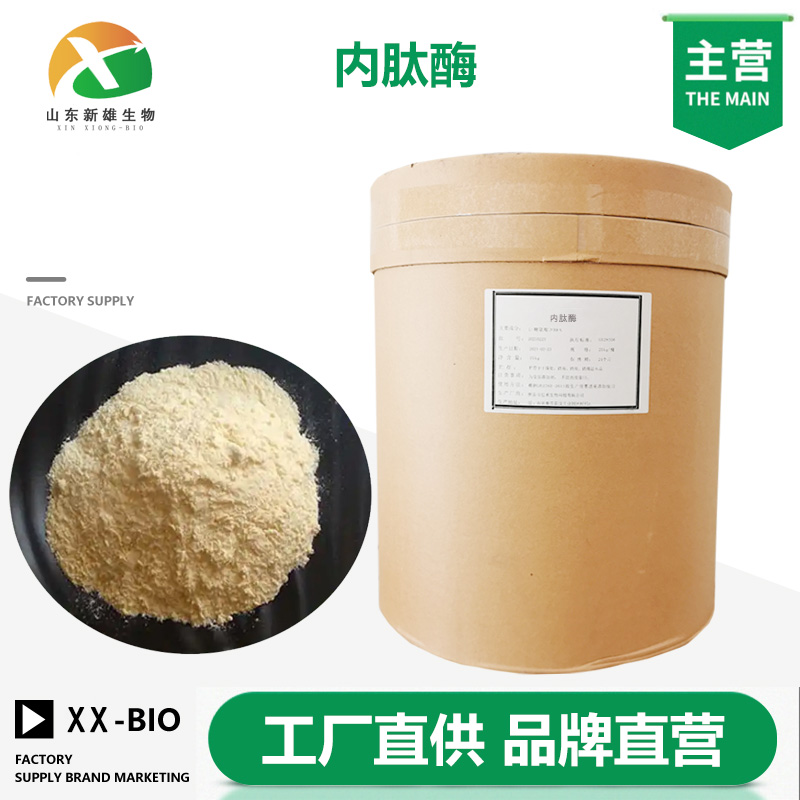 内肽酶