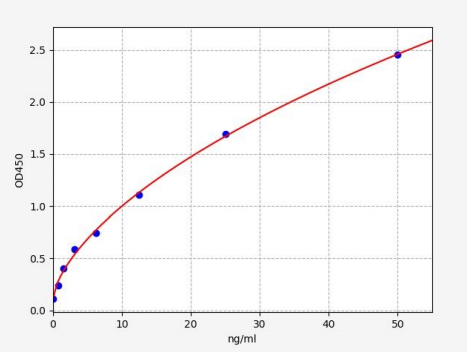 人肿瘤蛋白P53抗体(TP53-Ab)ELISA试剂盒 YB71708Hu