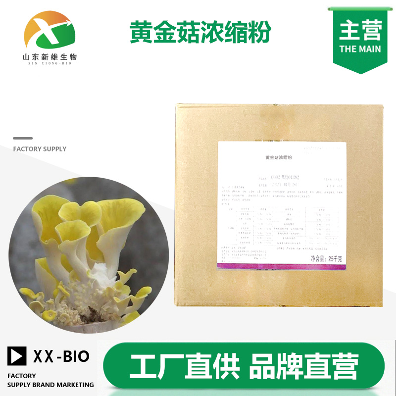 黄金菇浓缩粉