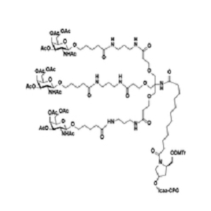 α1,3-GalNAcT，α-1,3-GalNAc转移酶