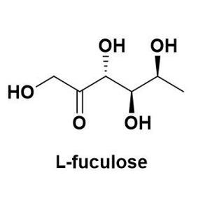 13074-08-3，L-fuculose，墨角藻糖