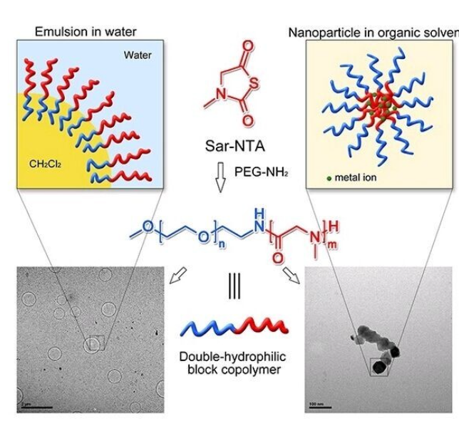 FITC-链霉亲和素/FITC-SA/FITC-Streptavidin/Fluorescein Isothiocyanate-Streptavidin）/绿色荧光标记生物素结合蛋白探针