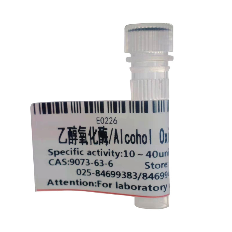 乙醇氧化酶（缓冲液）