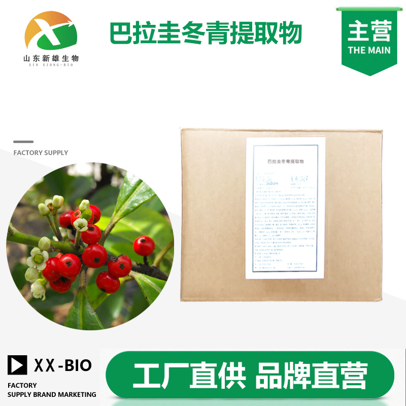 巴拉圭冬青提取物