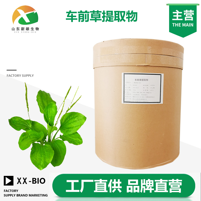 车前草提取物