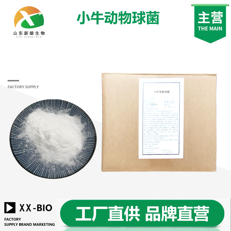 小牛动物球菌厂家