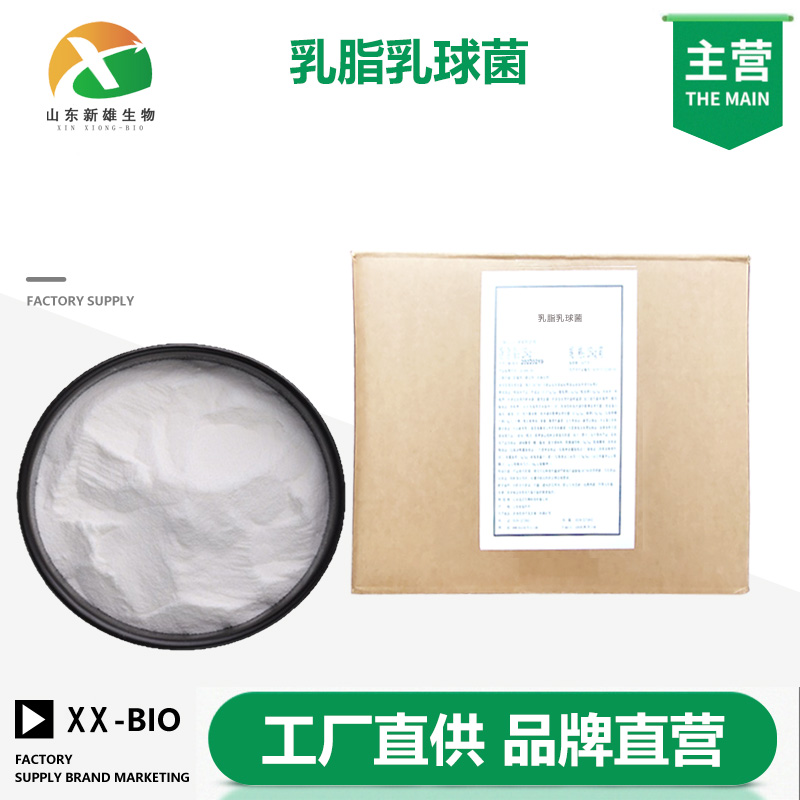 乳脂乳球菌厂家
