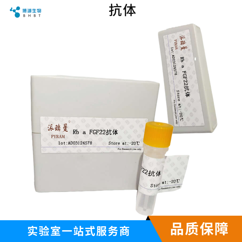 HA tag（标签）单克隆抗体