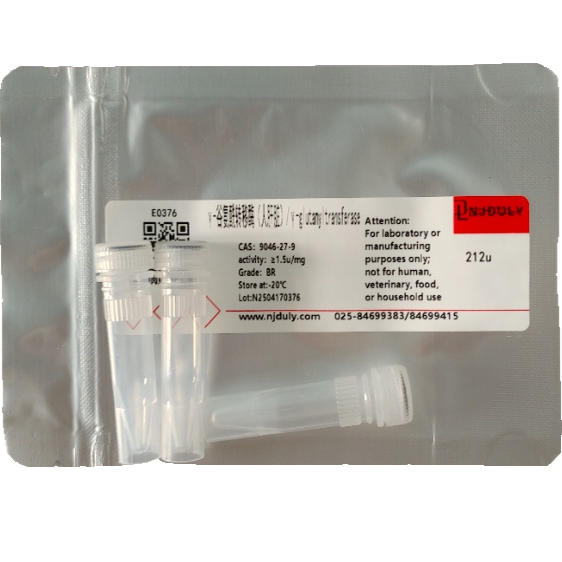 γ-谷氨酰转移酶（人肝脏）