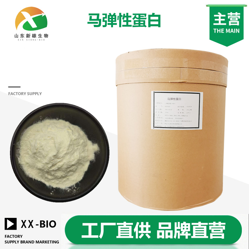 马弹性蛋白厂家