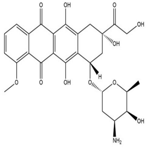Biotin-DOX，生物素偶联阿霉素
