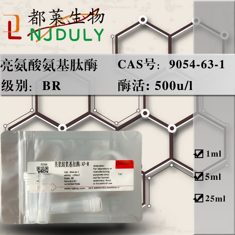 亮氨酸氨基肽酶