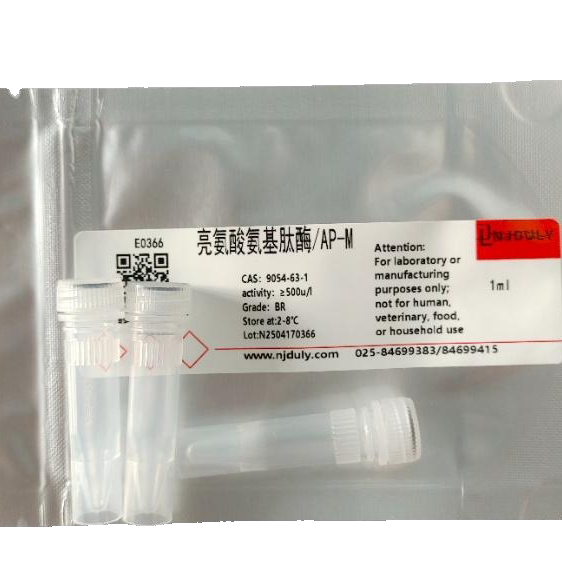 亮氨酸氨基肽酶