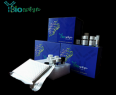 人B细胞淋巴瘤因子11B(BCL11B)ELISA试剂盒 YB71813Hu