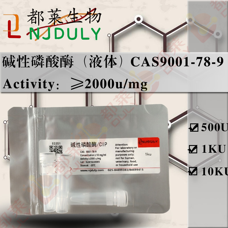 碱性磷酸酶（液体）