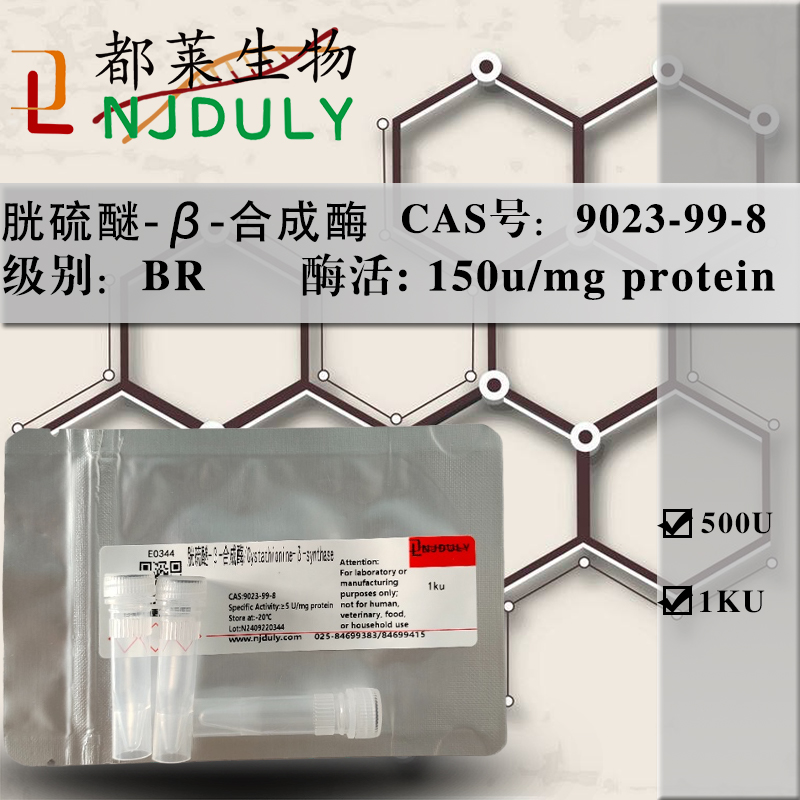 胱硫醚-β-合成酶