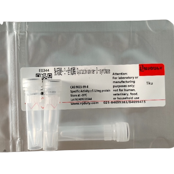 胱硫醚-β-合成酶