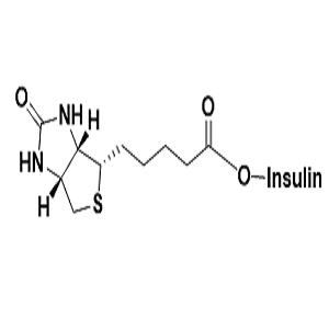 Biotin-Insulin，生物素-胰岛素