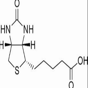 Protein A-Biotin，蛋白A修饰生物素