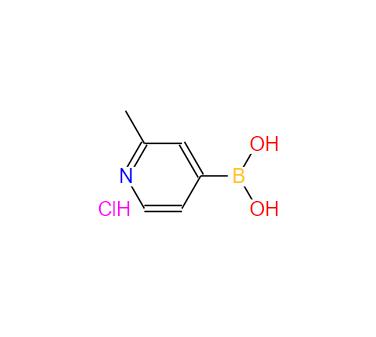 2-甲基-4-吡啶硼酸盐酸盐