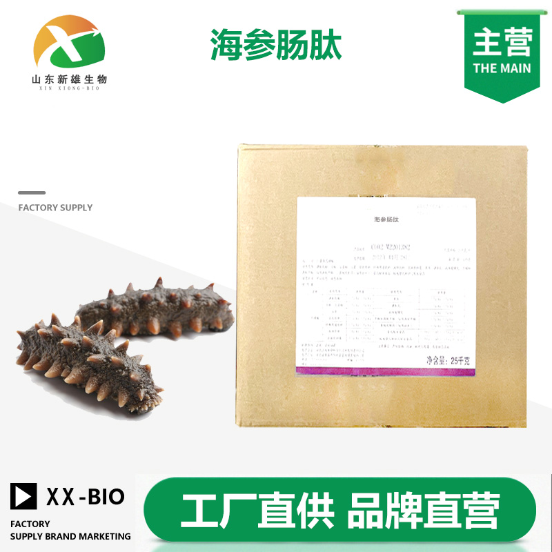 海参肠肽厂家