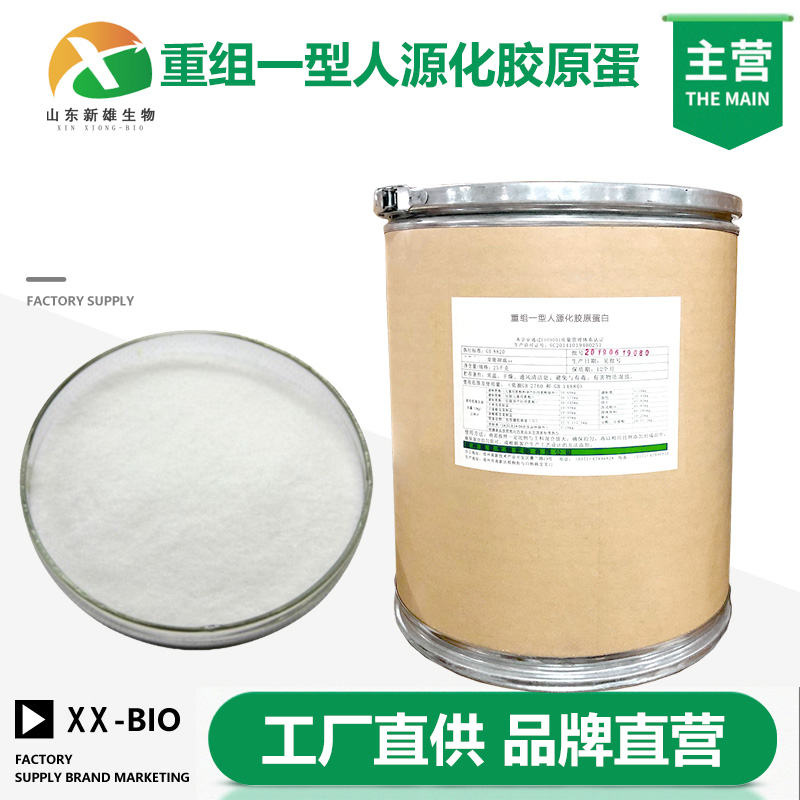 重组一型人源化胶原蛋白厂家