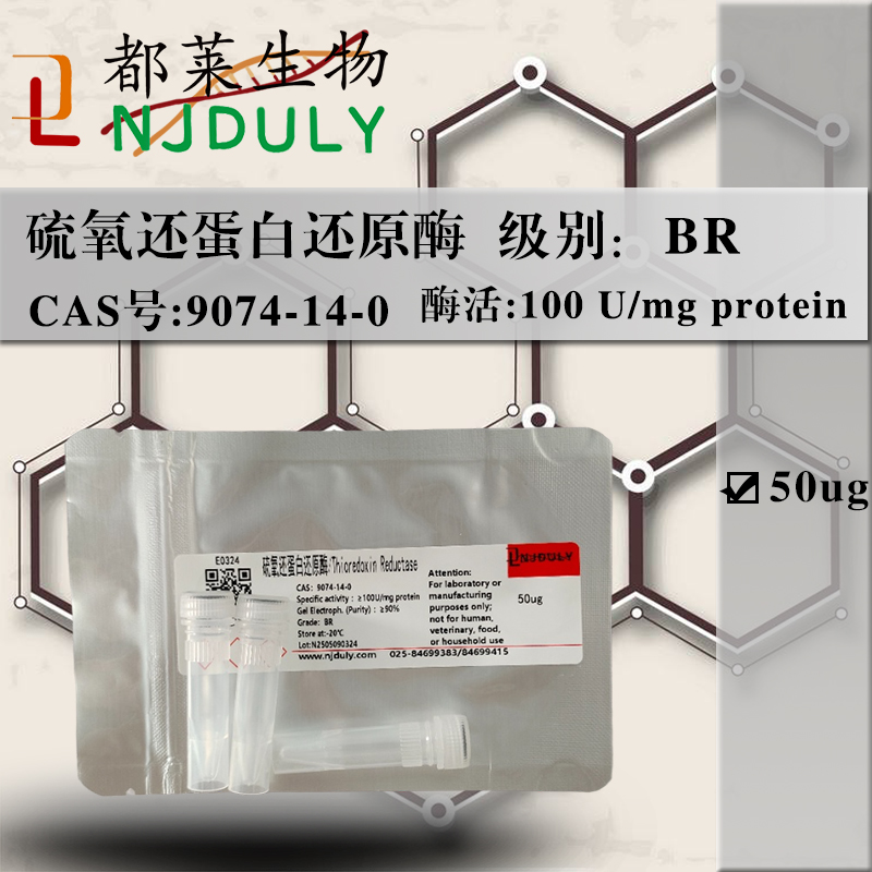 硫氧还蛋白还原酶